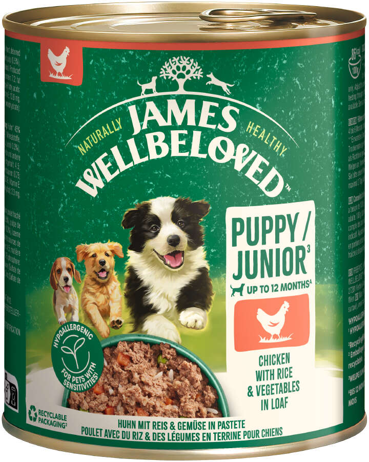JAMES WELLBELOVED Hunde-Nassfutter Junior Huhn Pastete